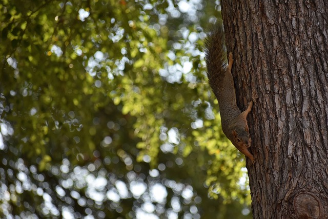 一则令人震 一则令人震